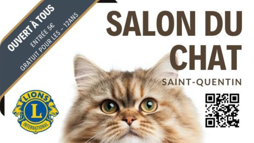 salonchatstq