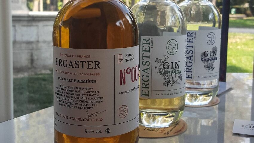 whisky ergaster