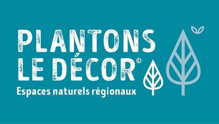 plantons le decor