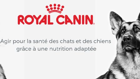 royal canin